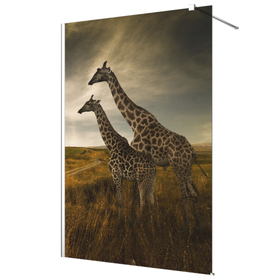 Stickers paroi de douche dépoli - Girafes