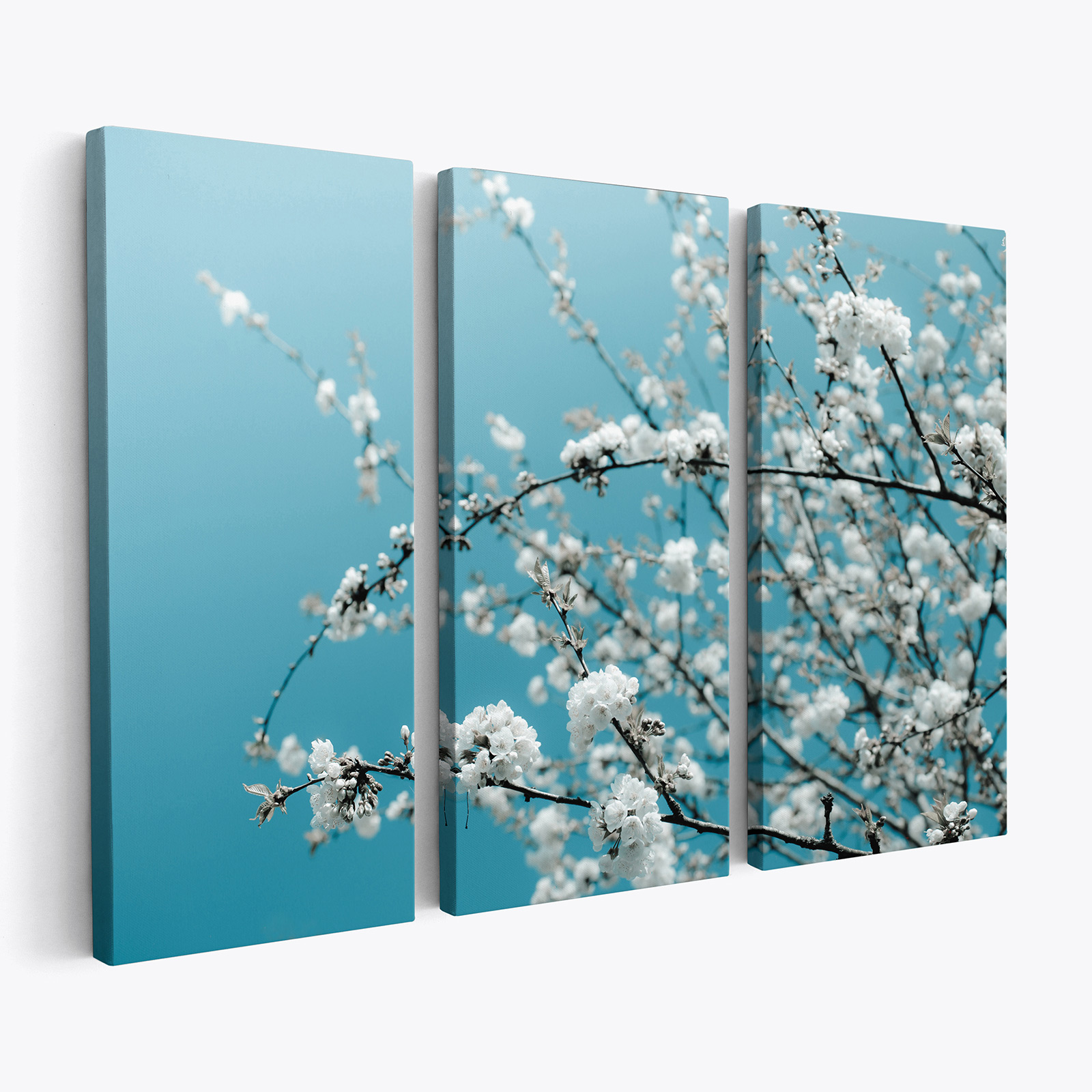 Tableau triptyque sur toile - Fleurs de cerisiers - Des prix 50% moins ...