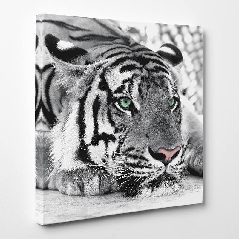 Tableau toile - Tigre 6 - Des prix 50% moins cher qu'en magasin